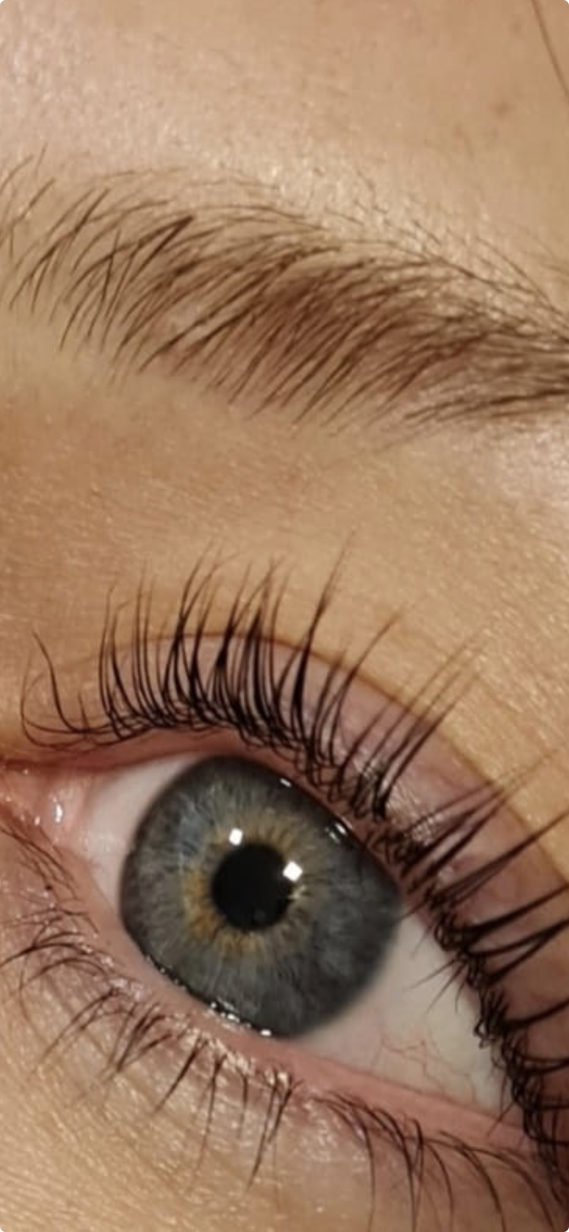 Lash lift 2